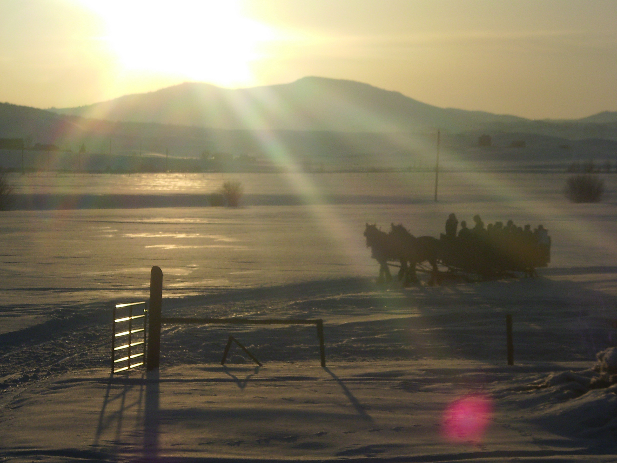 Dinner Sleigh Rides | Gallery - Steamboat Springs, CO